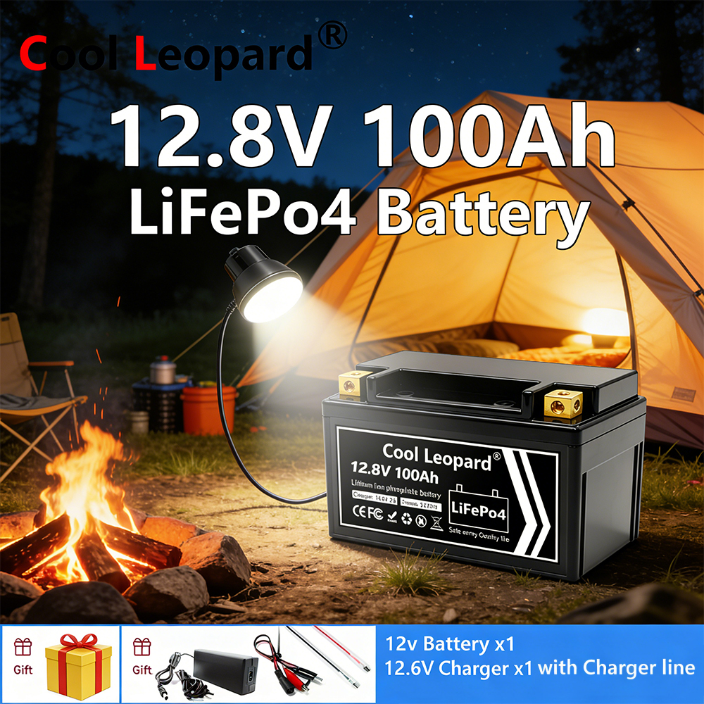 Lightweight 12V 100Ah LiFePO4  - Fish Finder Charger のレビューと価格