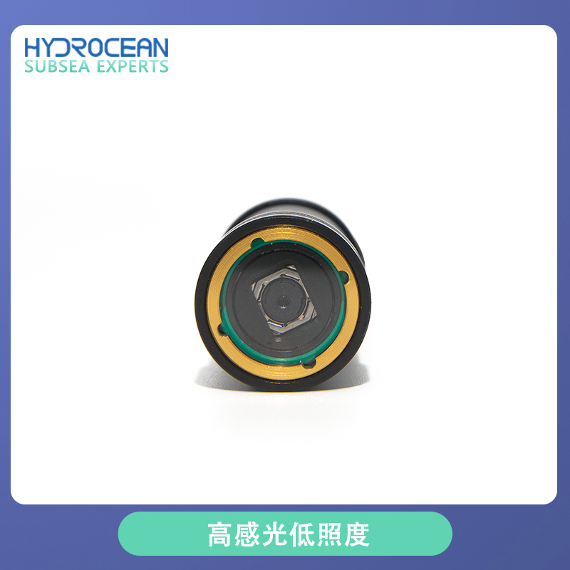 Hydrocean ROV 8-megapixel Exte - Underwater Camera のレビューと価格